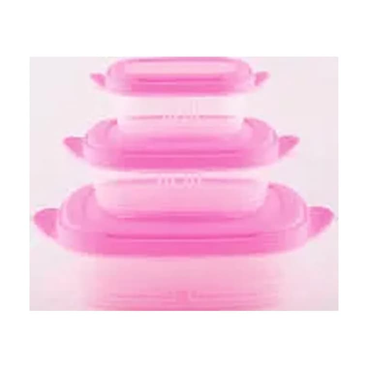 Keep Fresh Containers Set of 3