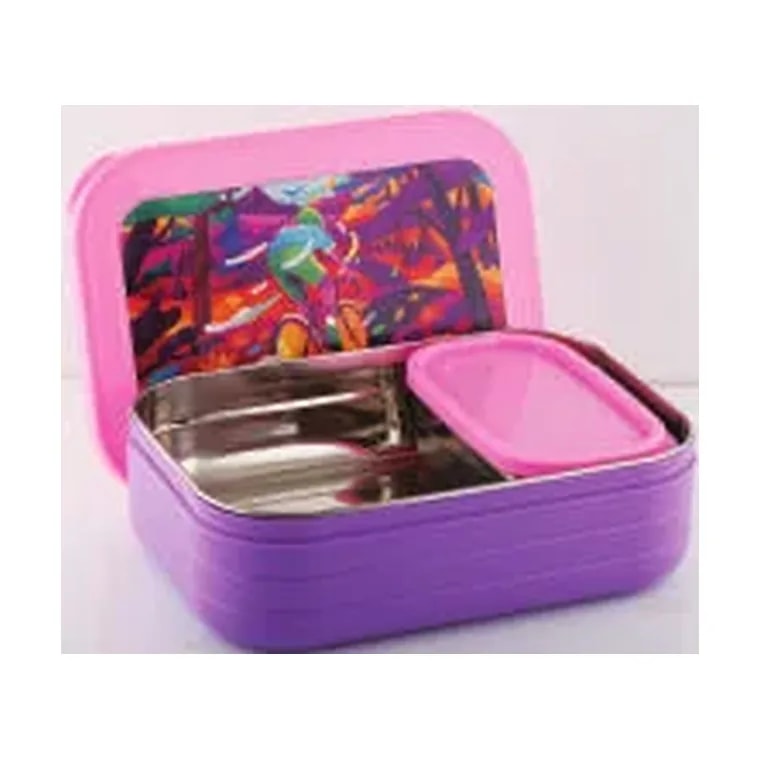 Food Buddy Lunch Box (Inner Steel) with Steel Dabbi