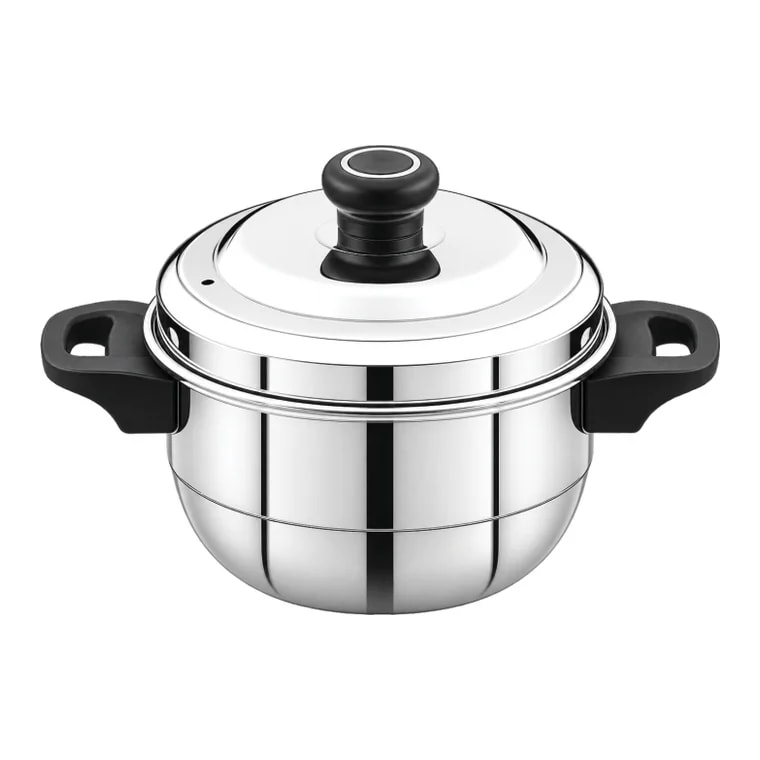 Fortune Mini stainless steel idly cooker