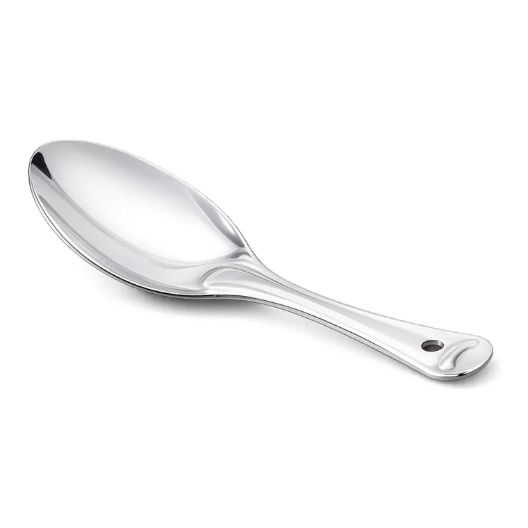 Stainless steel rice server